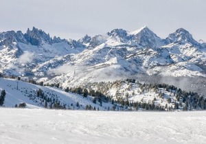 Aspen Creek #113
