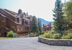 Aspen Creek #113