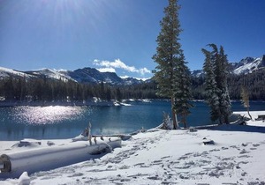 Aspen Creek #204