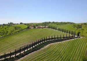 Aterno Estate & Vineyard