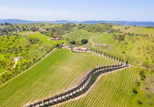 Aterno Vineyard, Guest House