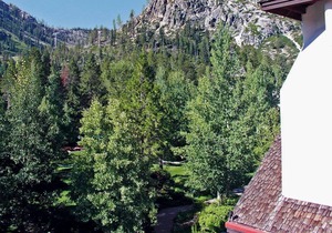 Beautiful 1 bedroom unit at resort, sleeps 4