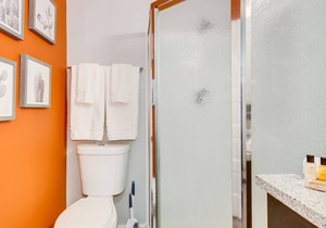 Cozy Studio in Tempe near Airport | Bluu Door | Tortoise