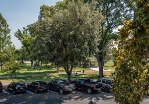 Downtown Paso Robles Park-Side Suite with Balcony!