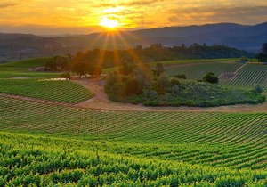 Luxury Estate In Paso Robles. Treat Yourself To Excellence!!!