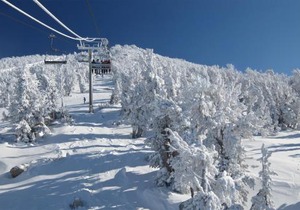 Manzanita Holiday 2