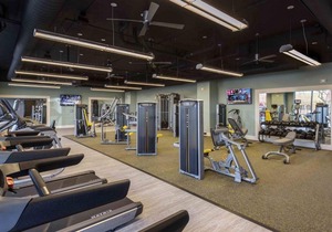 New! Stunning 1BR/1BA DT Phoenix Apt by Domio