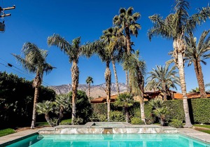 Palm Springs Paradise