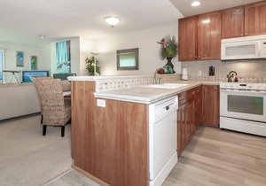 Shorebirds 121 - Full Ocean View Condo - Sleeps 2, Second Floor Condo
