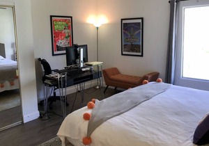Walk to downtown PS & Arenas - Discount for 2+ month stay!