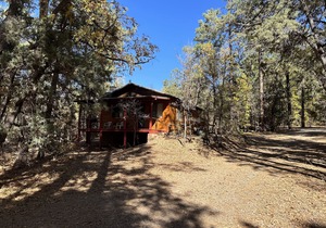 Whispering Pines Resort- Cabin #16
