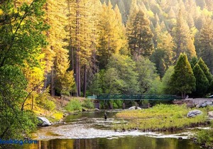 Yosemite Lakes River Yurt 22