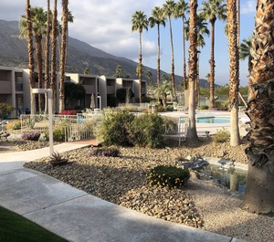 Palm Springs 
