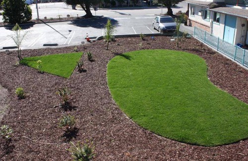 San Luis Obispo Hotel | 30 m² Motel ∙ 127 guests