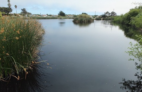 Oceano Condo | 614 Airpark: 2 BR, 2 BA Condominium in Oceano, Sleeps 4