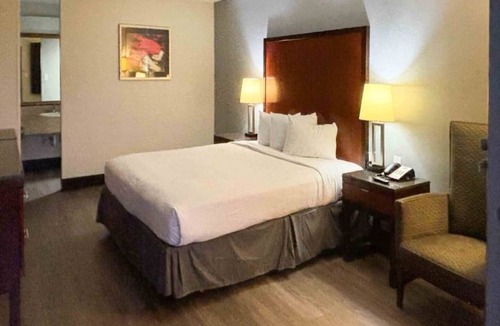 Mesa Apartment | 1 King Bed | Mobil Access Tub Nsmk Micfridg