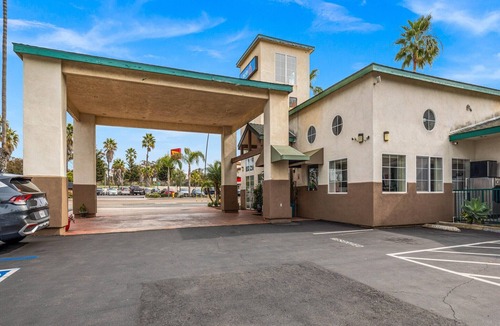 Townsite Apartment | 1 King Bed|Nsmk|Micfridge|View