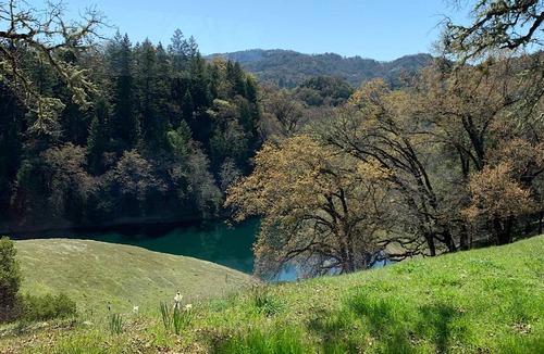 Ukiah Cottage | 113 m² Cottage ∙ 2 bedrooms ∙ 5 guests