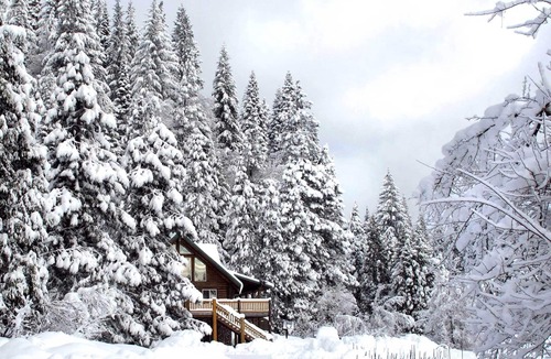 McCloud Cottage | 13 Mi to Mt Shasta: Log Home on 60 Acres!