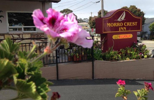 Morro Bay Hotel | 21 m² Motel ∙ 4 guests