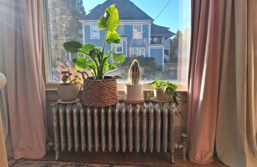 Irvington Apartment | 30+ Day Rental: Beautiful 1902 Apartment on Corner Lot on Bike Path in Irvington