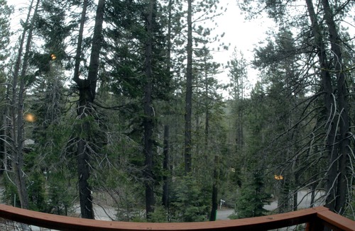 Pla-Vada Woodlands House | 3bd & 2bth home w/HOT TUB close to Ski Resorts & Truckee