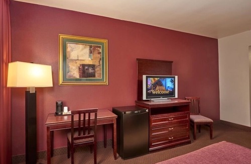 Downtown Las Vegas Hotel | 4 Rooms near Shark Reef Aquarium & Bellagio Conservatory - No Resort Fee