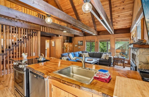 Government Camp Ski Chalet | 9 Beds w/Hot Tub, Walkable, Backs to National Forest & Near Shuttle