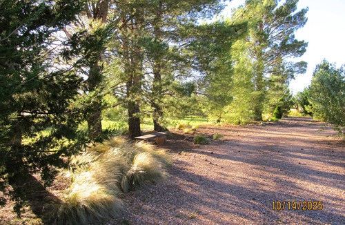 Sierra Vista Southeast House | A Park-Like 5 Acre Setting in the High Desert. Maximum 7 Night Stay.