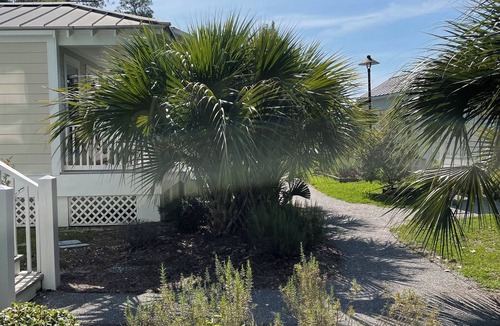 Ocean Springs Cottage | Adorable Cottage in Downtown Ocean Springs sleeps 4