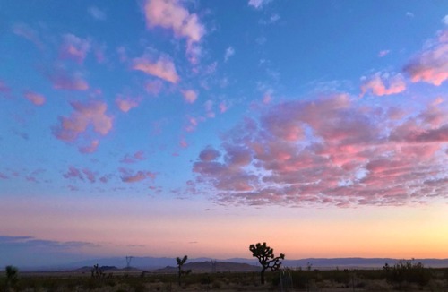 Rosamond Cabin | Amazing Stargazing and Sunset Views in the High Desert on 10 Acres