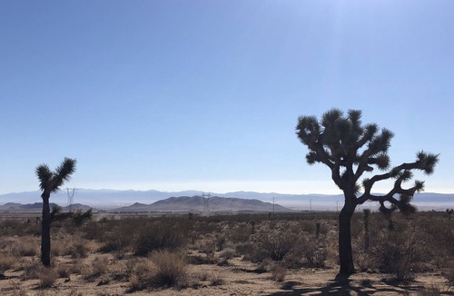 Rosamond Cabin | Amazing Stargazing and Sunset Views in the High Desert on 10 Acres
