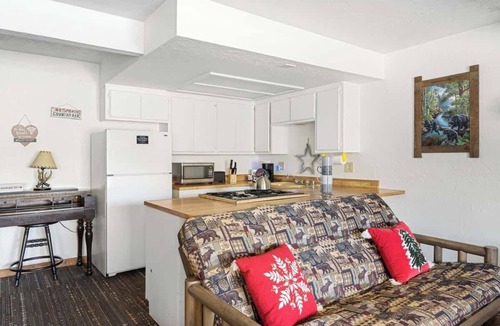The Village Hotel | American Black Bear. Perfect Location
