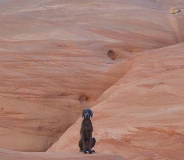 Page House | AntelopeCanyonHouse w VIEW offering Deals for two couples pets okay