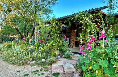 Tonto Basin House | Artistic home and gardens Just a stones throw to Roosevelt Lake.
