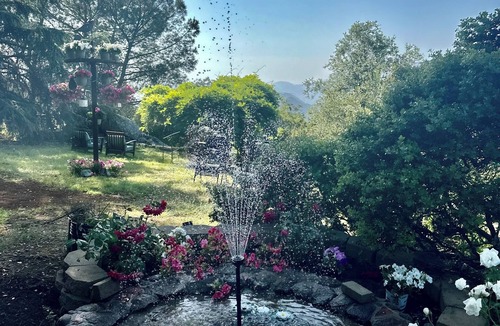 Alpine House | Ashley Cottage A French Chateau