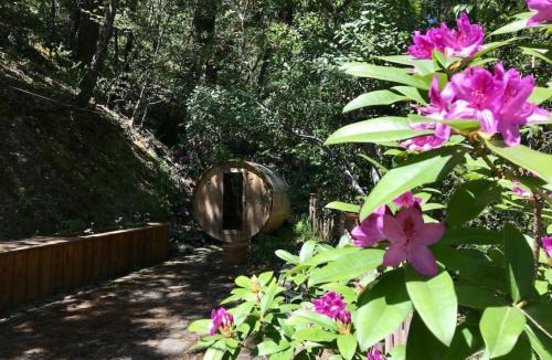 Myers Flat House | Avenue of the Giants River View Home (#1)