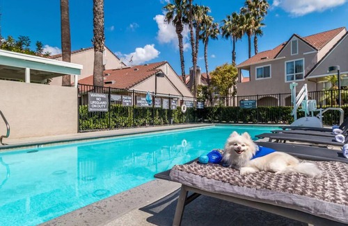 Downtown Village House | Beach Vacay Starts Here! Three 2BR Suites w/ Full Kitchens! Outdoor Pool