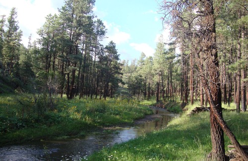 Clifton Cabin | Beaver Creek Guest Ranch is your scenic getaway.