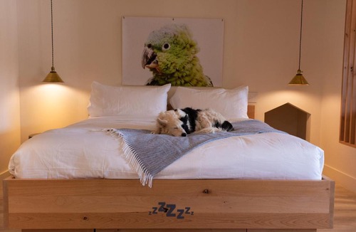 Kanab Hotel | Best Friends Roadhouse and Mercantile