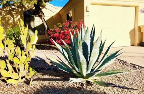 Fountain Hills House | Best in Fountain Hills- HENDVR3