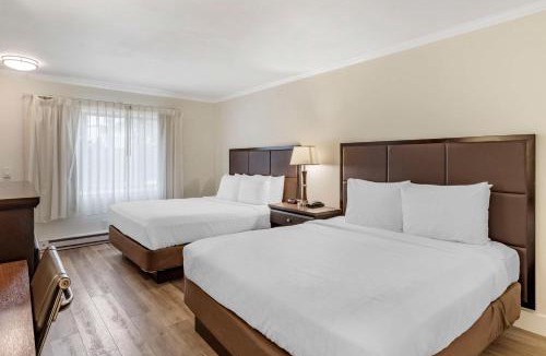 Northwest Carmel Hotel | Best Western Carmel's Town House Lodge