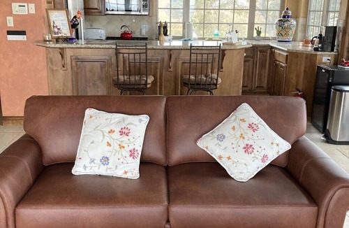 Angels Camp House | Breathtaking Vineyard and Lake Views, Secluded with private pickleball court