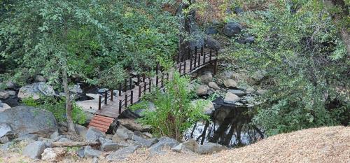 Sonora House | Buckeye Basecamp-40 Private, Pet Friendly Acres!