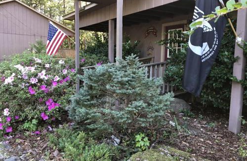 Mount Ida House | C5 - Mountain Harbor Forest View Lodge cottage