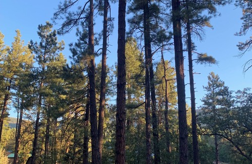Payson Cabin | Cabin with Gas Fireplace, Kitchen, Porch Swing, comfy Queen bed
