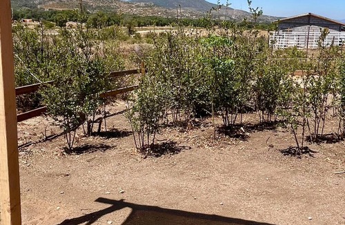 Tecate Municipality Hotel | Camping Site in Tecate #1