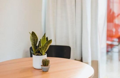 University Heights Apartment | Casa Nova - Central San Diego FREE parking