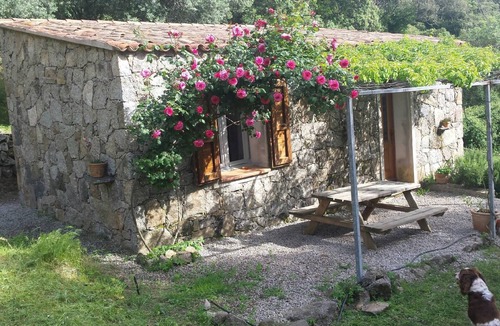 Sartene Cottage | Caseddu charming, small typical Corsican sheep