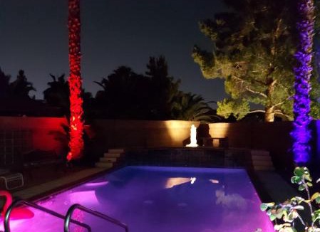 Paradise House | CATmosphere